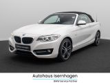 Foto Nummer 1: BMW 220d